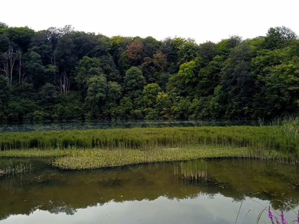 Photograph by Наталья Покрепина