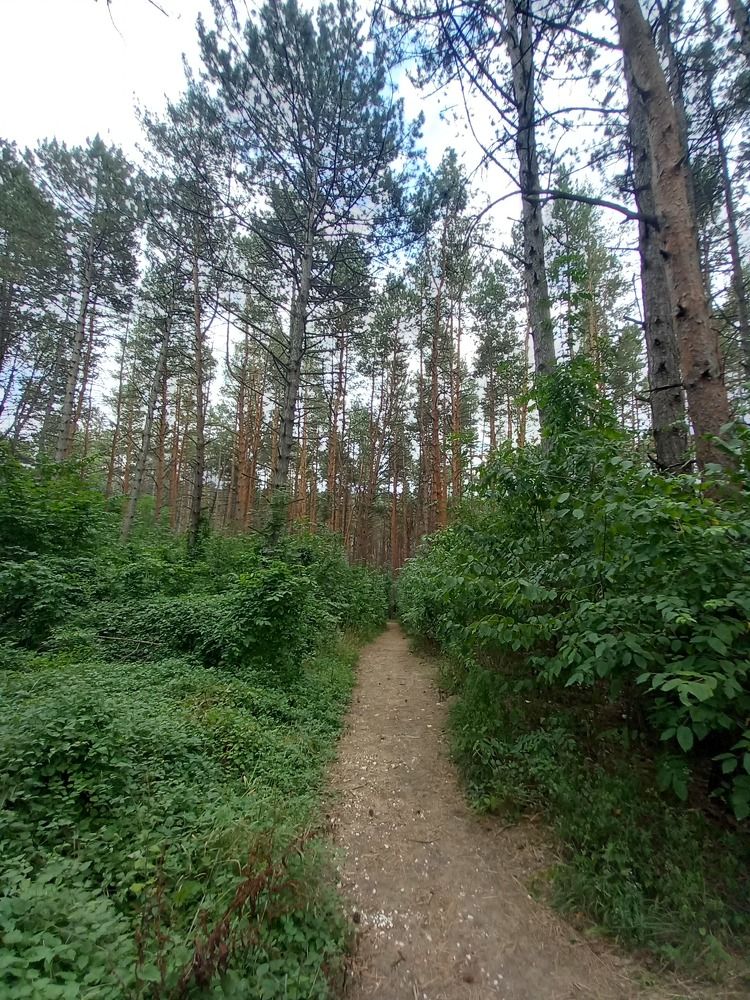 Photograph by Наталья Покрепина