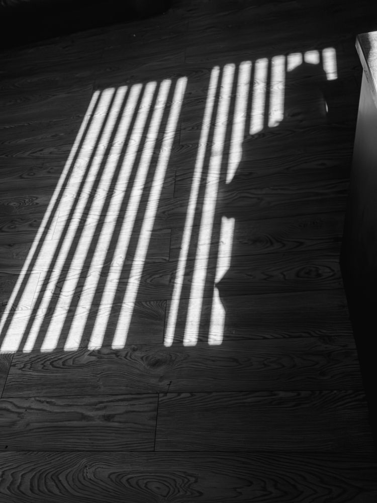 Photograph by Виталий Шкадинов