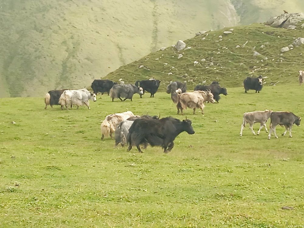 Photograph by Наталья Покрепина