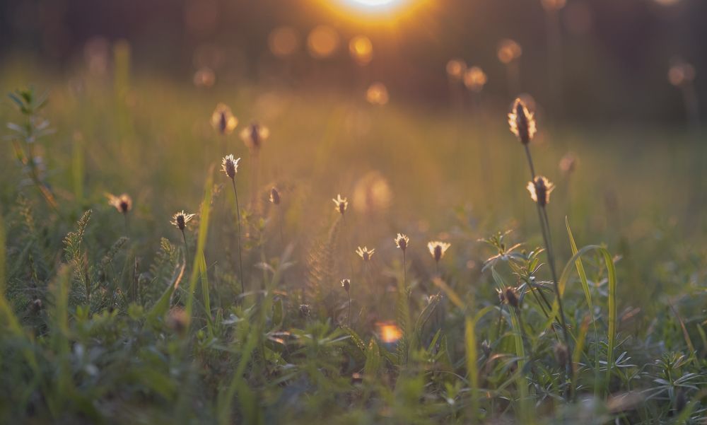 Photograph by Елена Акимова