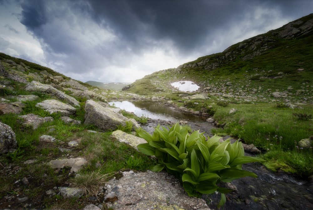 Photograph by Alexander Ornatskiy