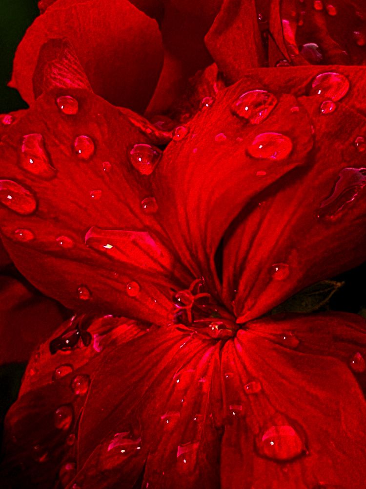 Фотография автора Ирина Якущенко