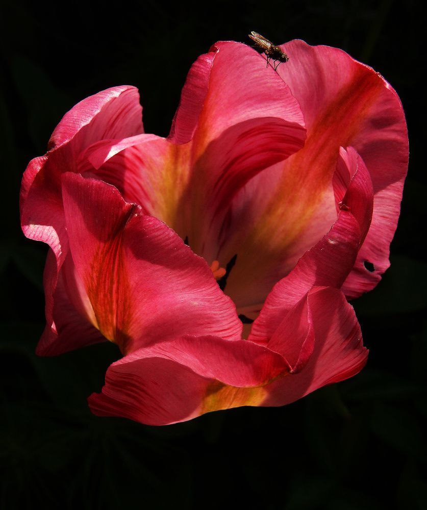 Фотография автора Сергей Гречихин