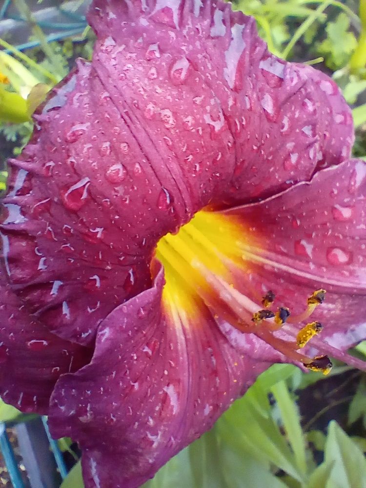 после дождя