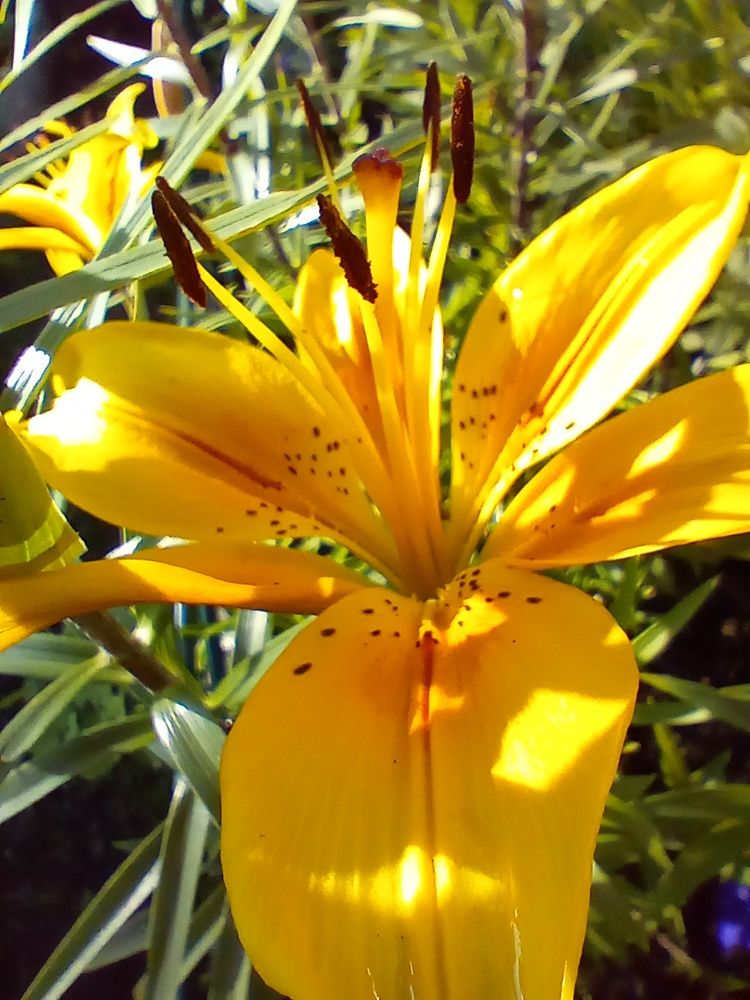 Photograph by Наталья Сырых