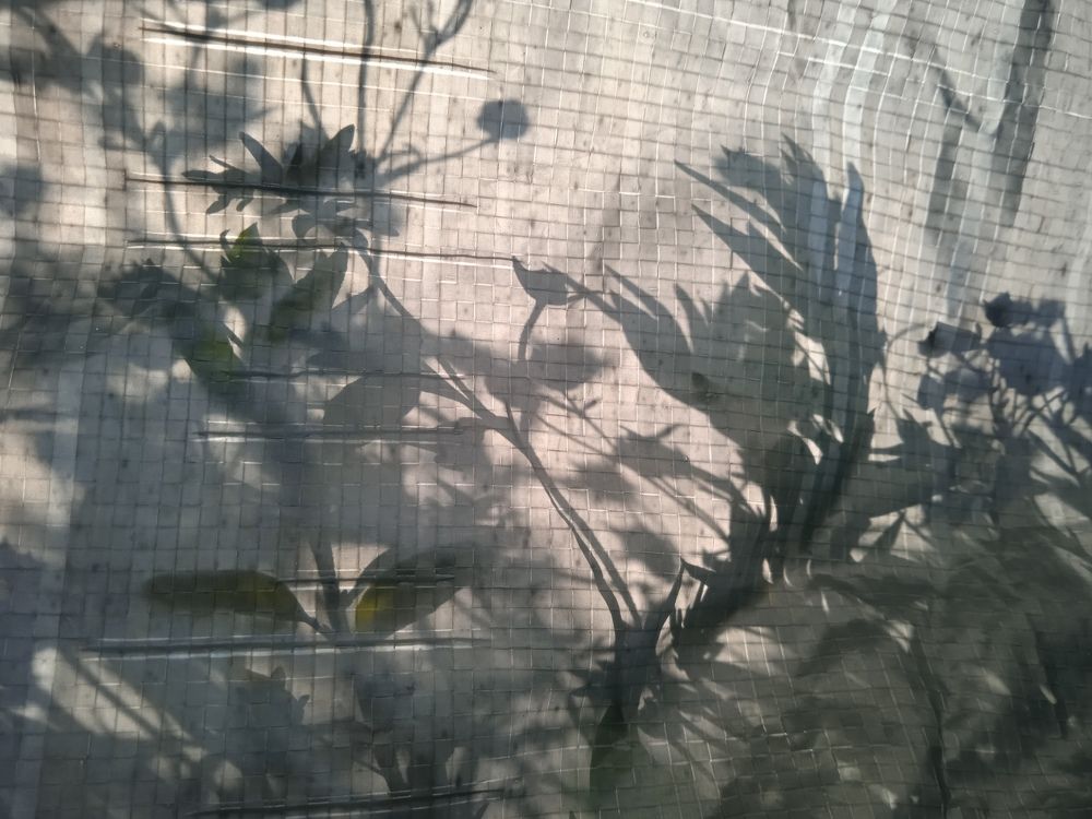 Photograph by Наталья Сорокина