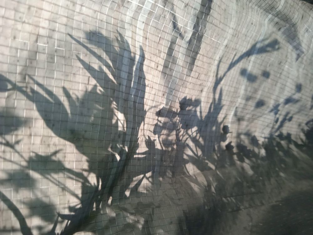 Photograph by Наталья Сорокина