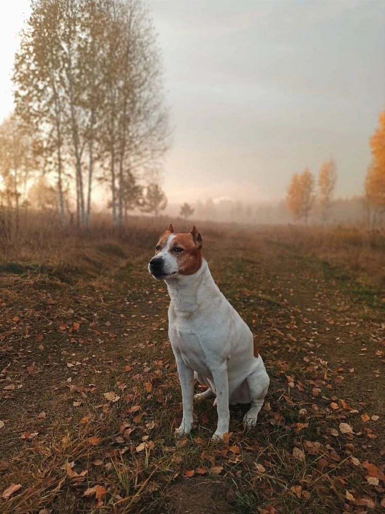 Photograph by Надежда Тарасенко