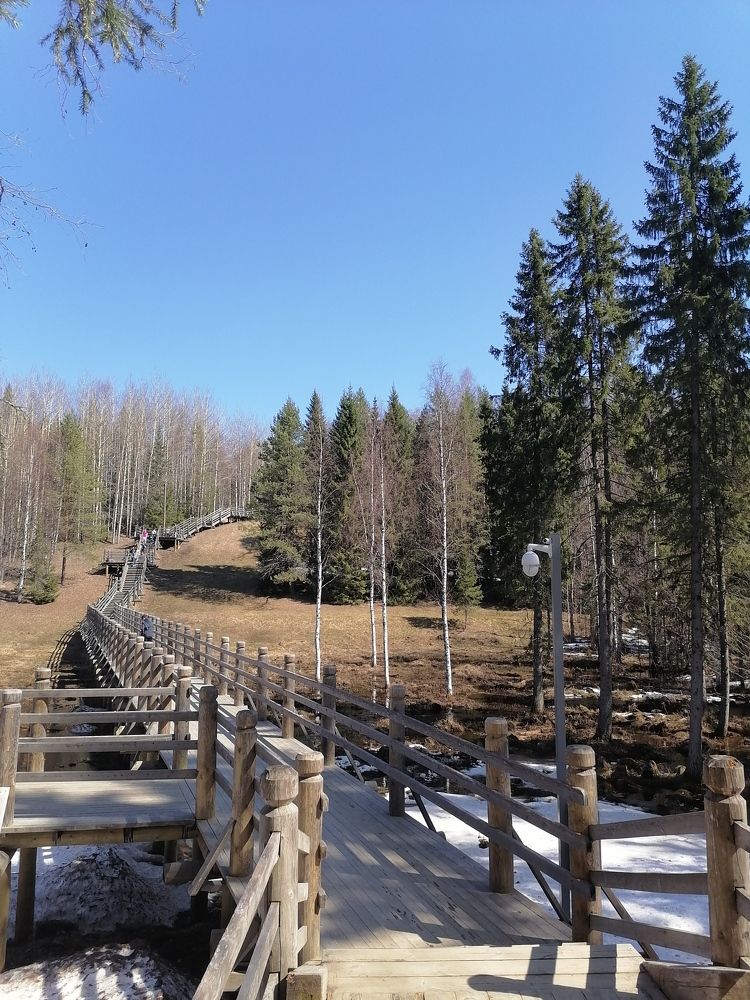 Photograph by Татьяна Бешенкина