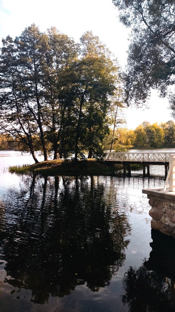 Фотография автора Елена Рузинова