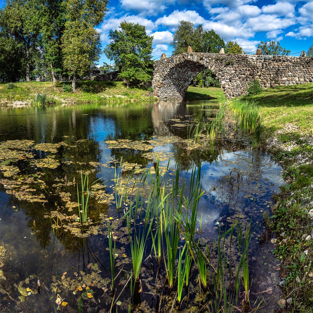 Photograph by Владимир Остапенко