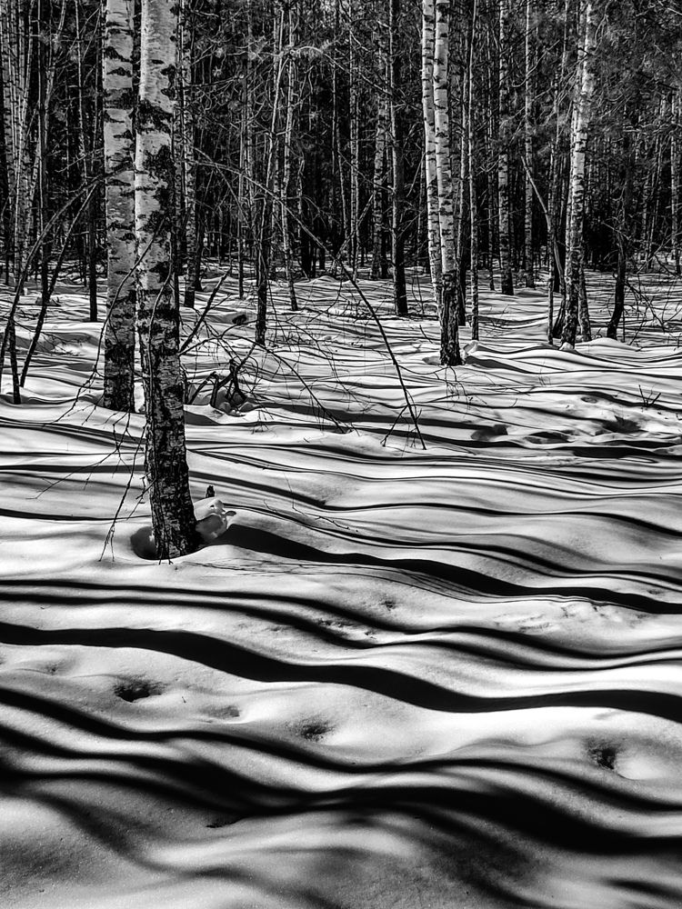 Photograph by Алёна Пшеленская