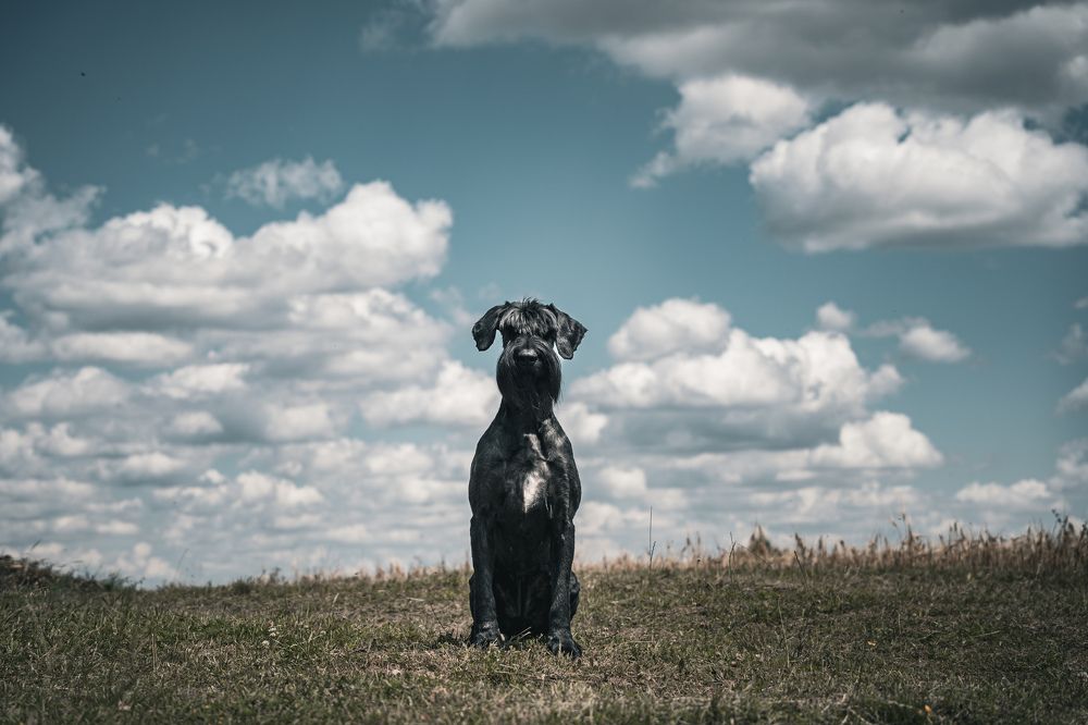 Фотография автора Viktória Bertha