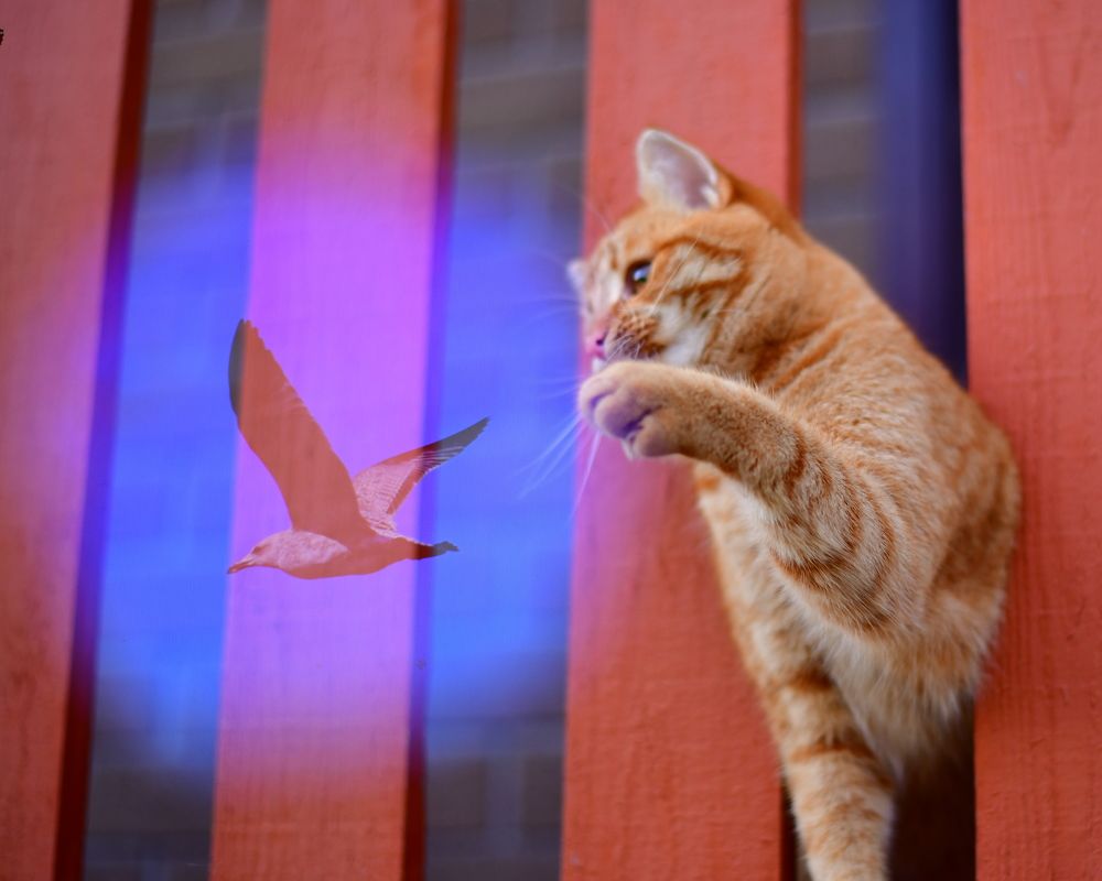 Photograph by Николай Абакумов