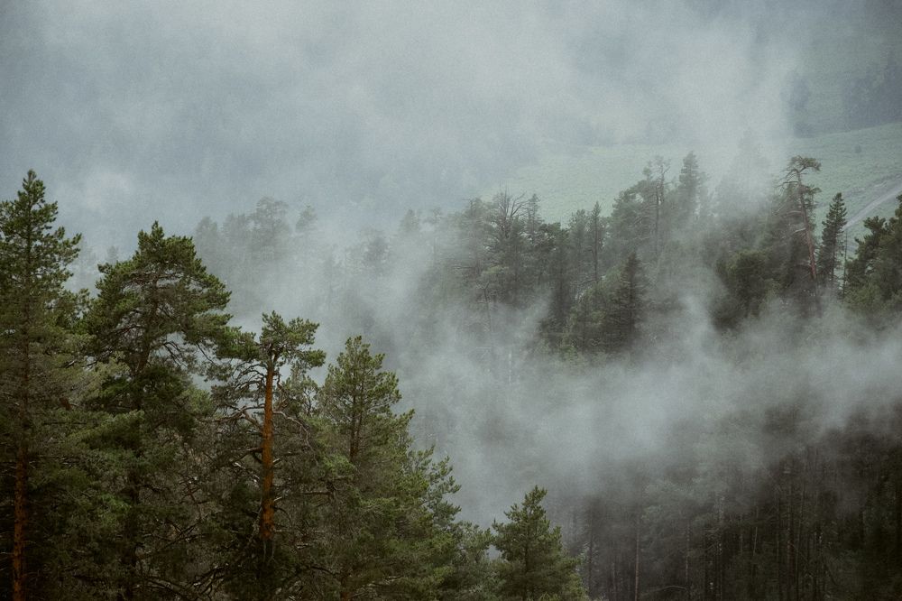 Photograph by Татьяна