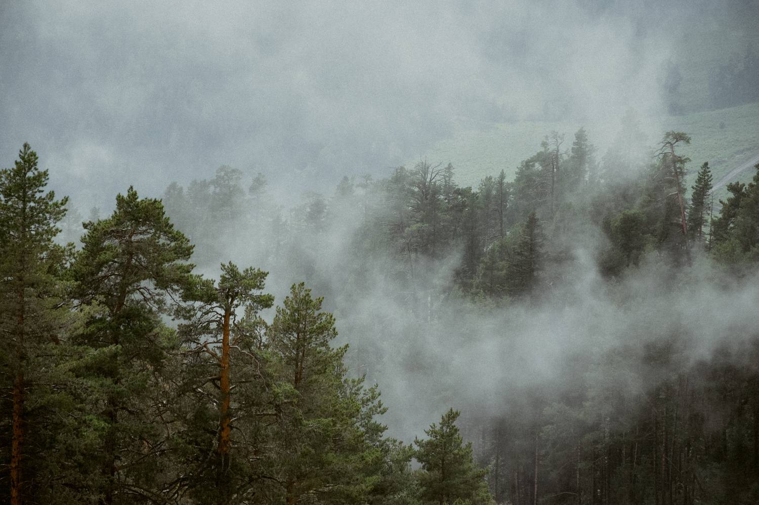 Photo #10935064
