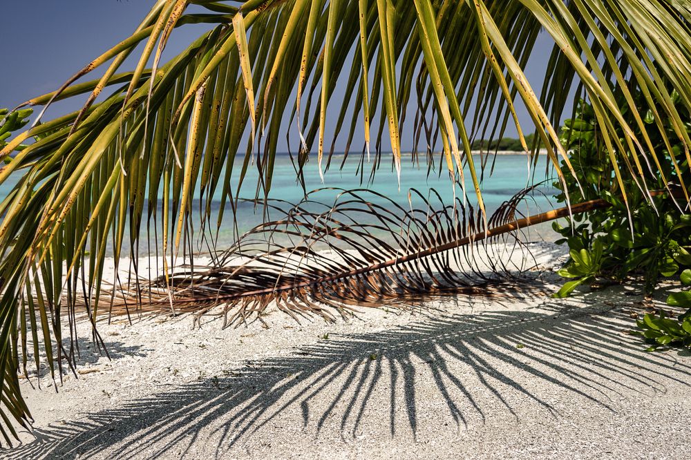 Photograph by Ирина Остапенко