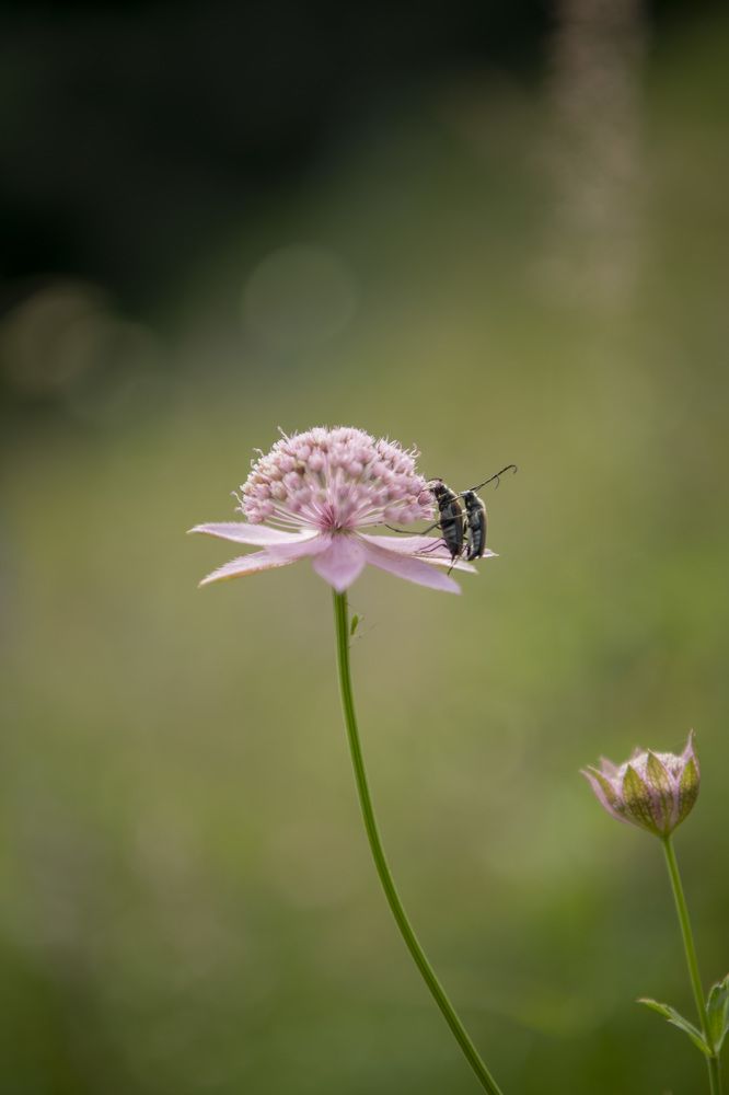 Photograph by Светлана Ермакова