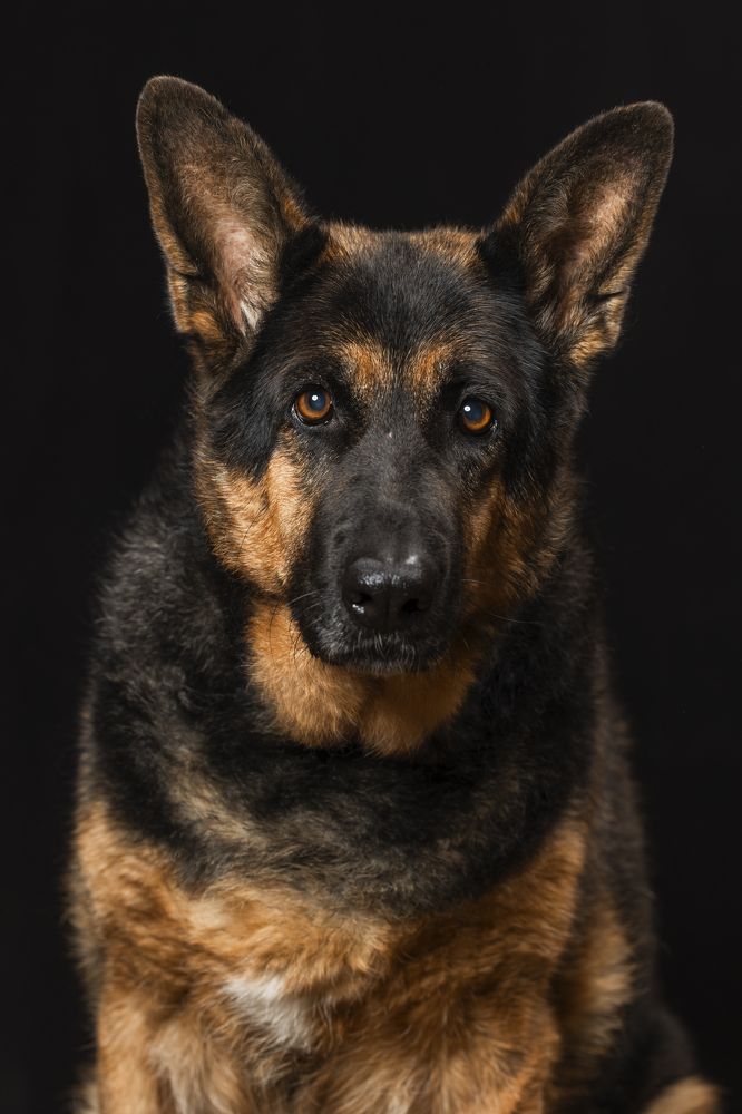 Photograph by Светлана Степашина