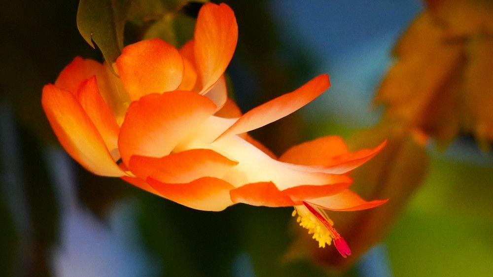 Photograph by Михаил Трусов