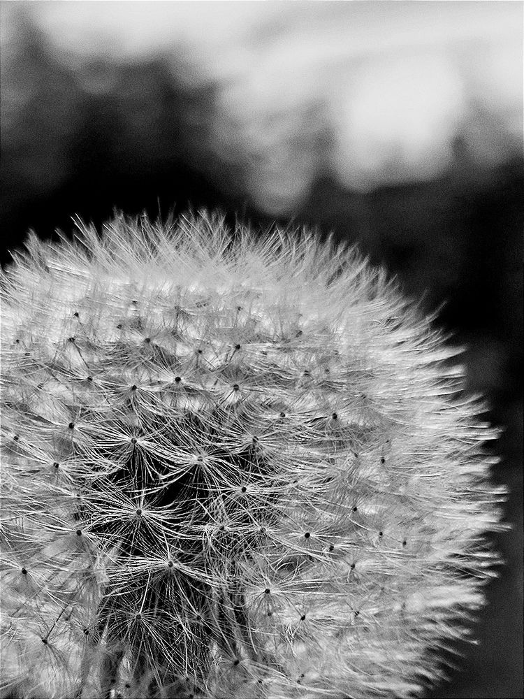 Photograph by Ksenija Bartoško