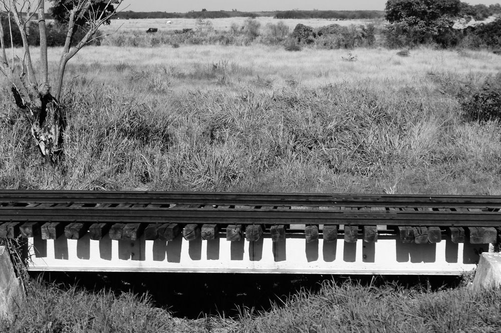 Музыка железной дороги