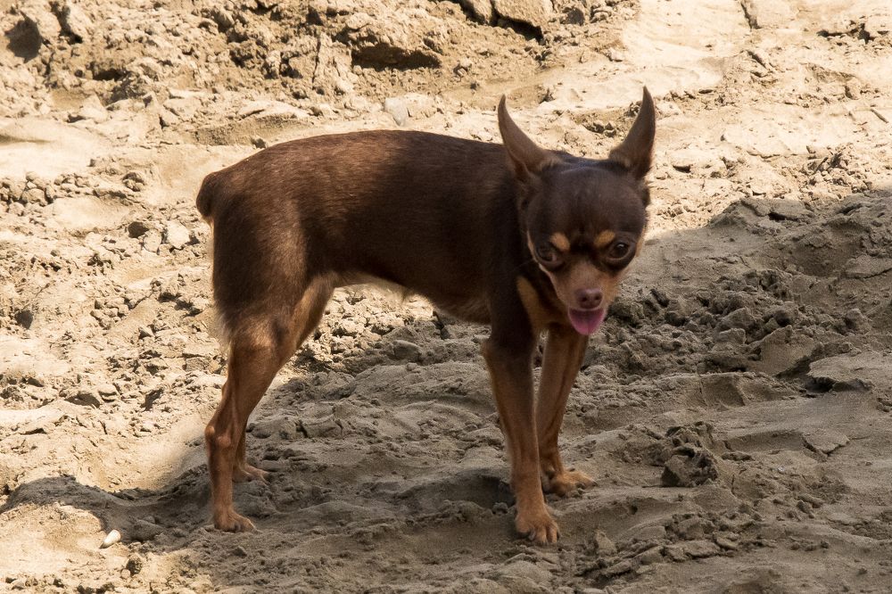 Photograph by Tvoigranitik