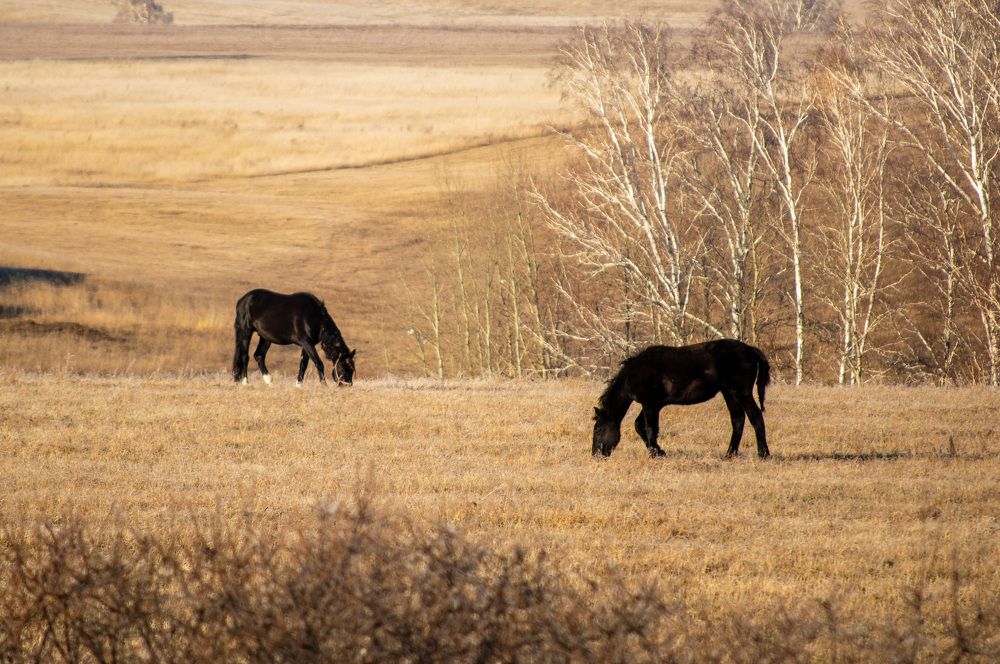 Photograph by Tvoigranitik