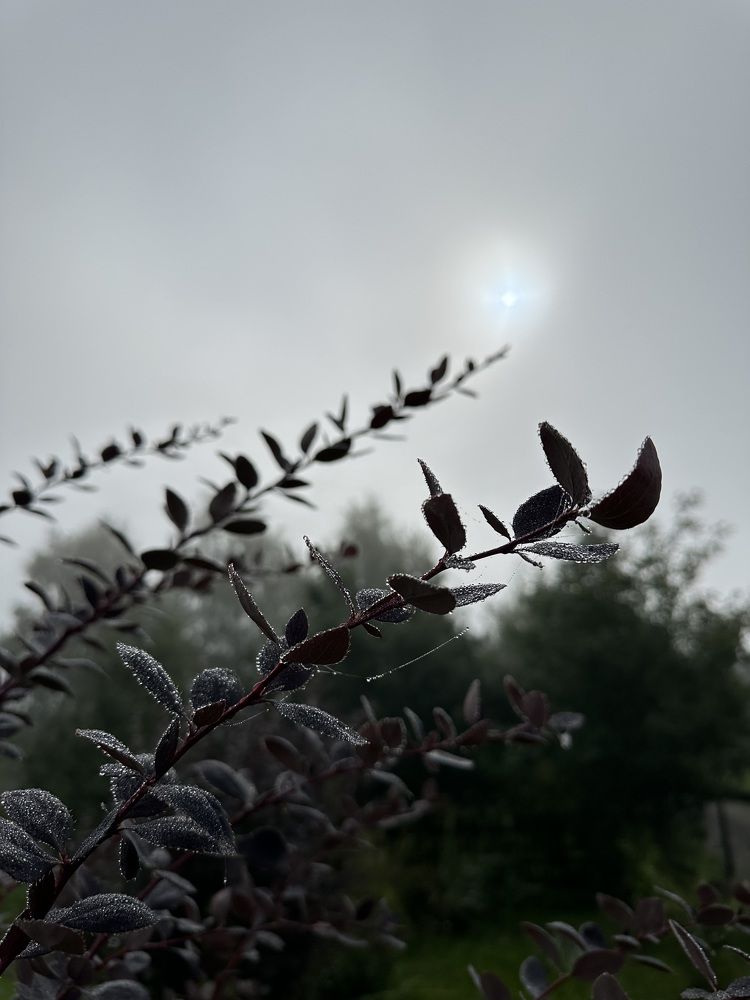 Photograph by Ольга Галкина