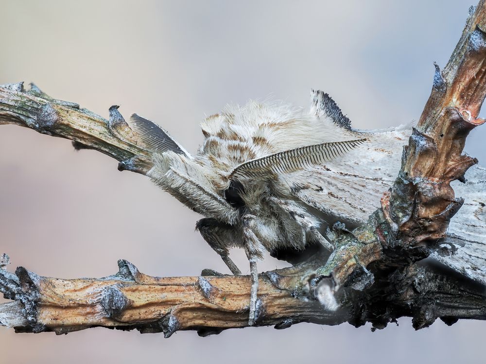 Photograph by Глеб Коровко