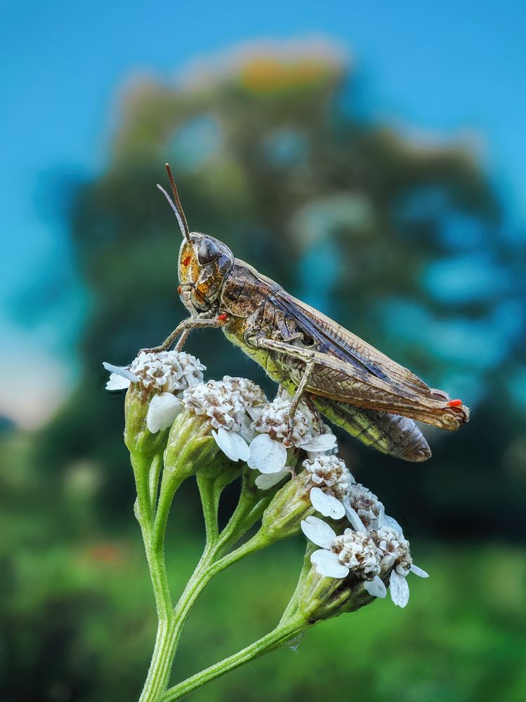 Photograph by Глеб Коровко