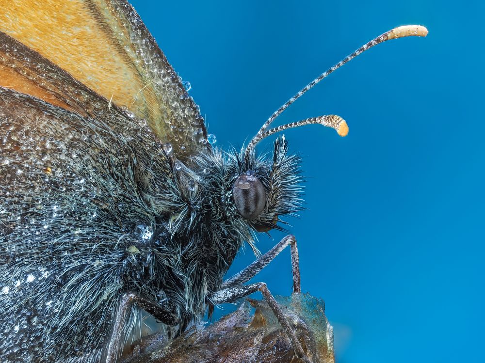 Photograph by Глеб Коровко