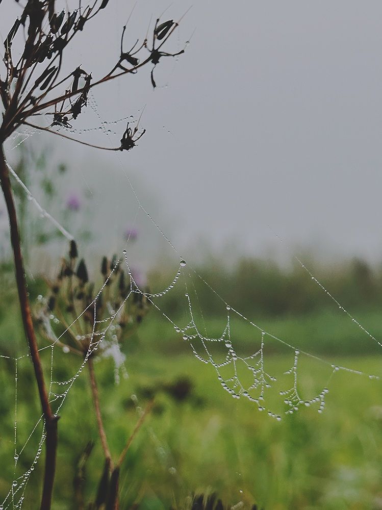 Photograph by Ольга Галкина