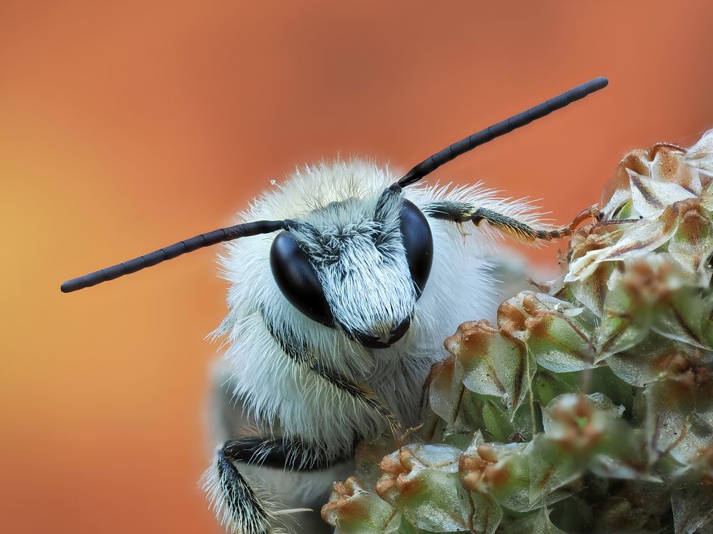 Photograph by Глеб Коровко