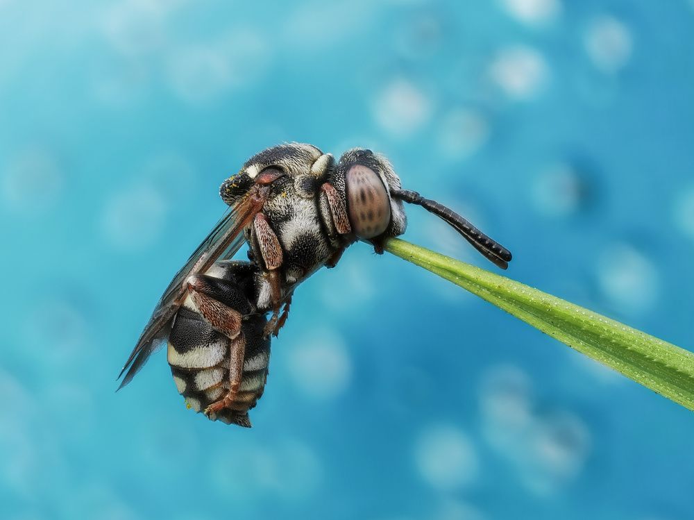 Photograph by Глеб Коровко