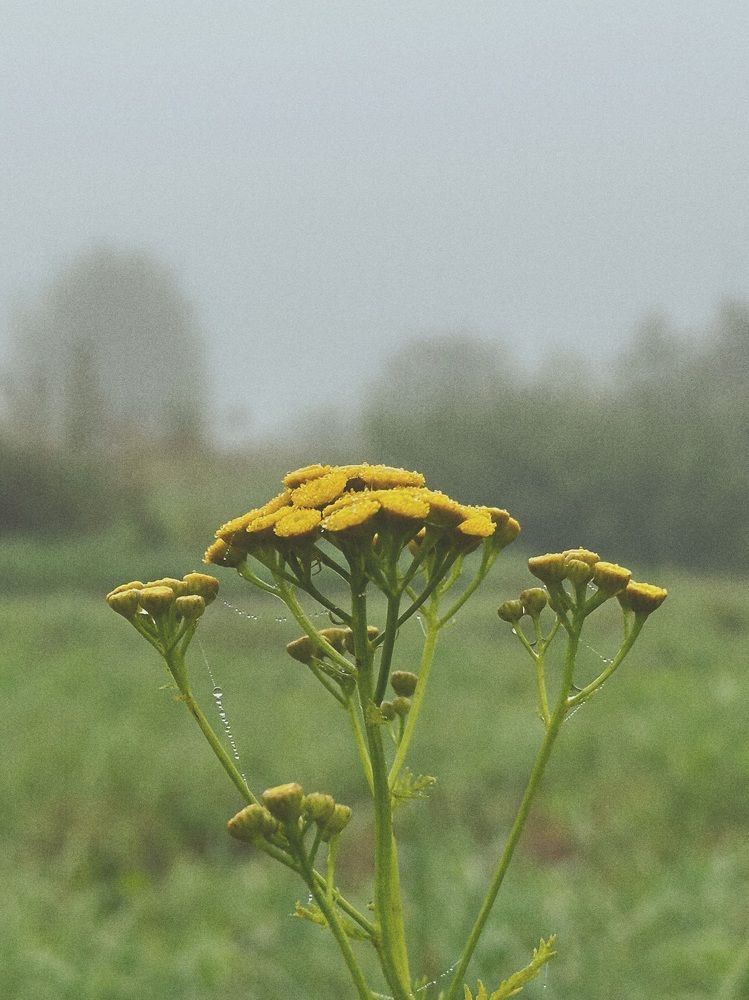 Photograph by Ольга Галкина