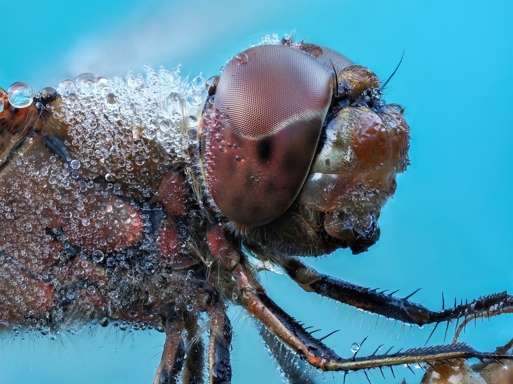 Photograph by Глеб Коровко