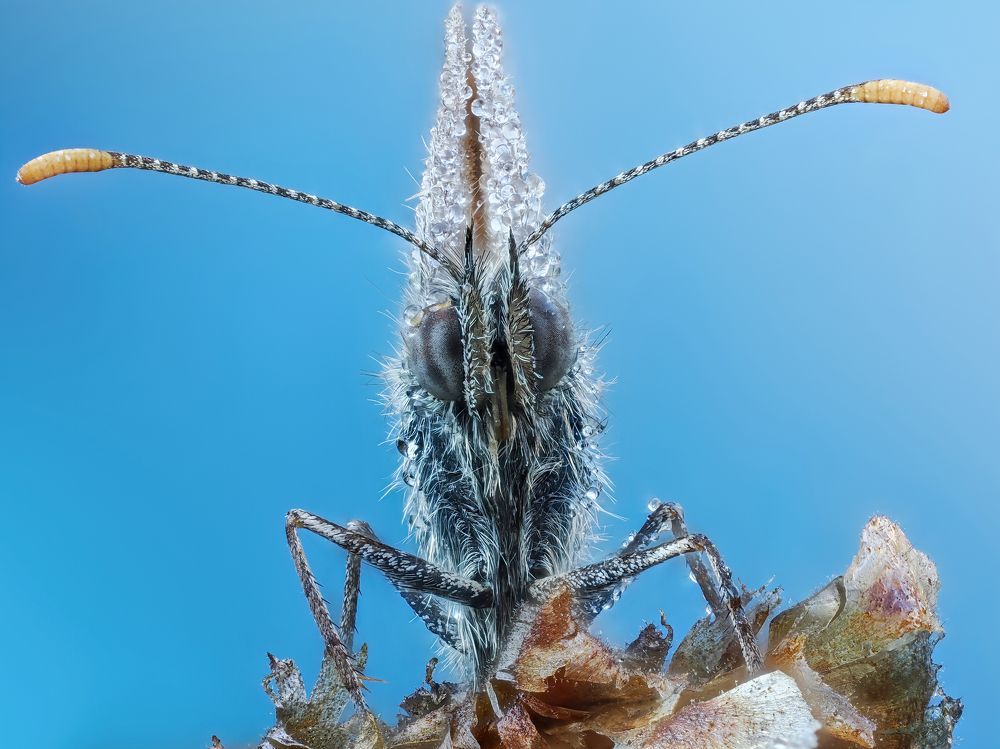 Photograph by Глеб Коровко