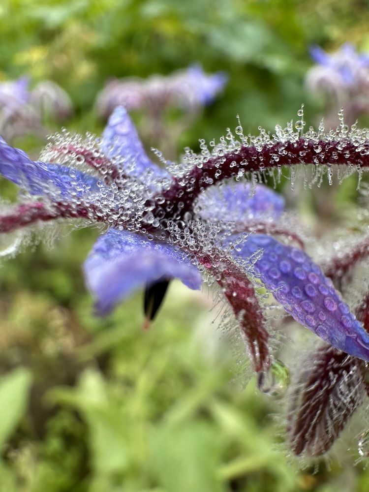 Photograph by Ольга Галкина