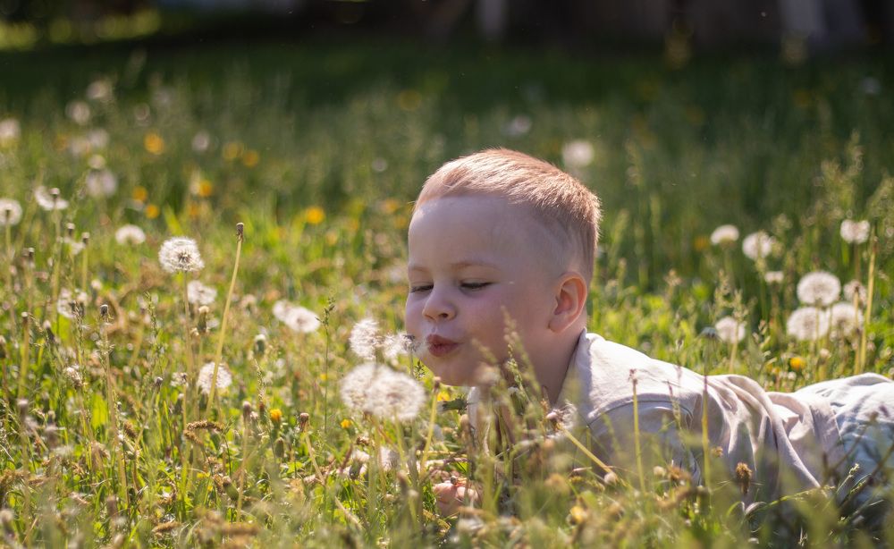 Photograph by Светлана Фёдорова