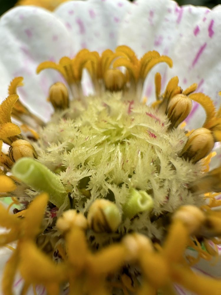 Photograph by Ольга Галкина