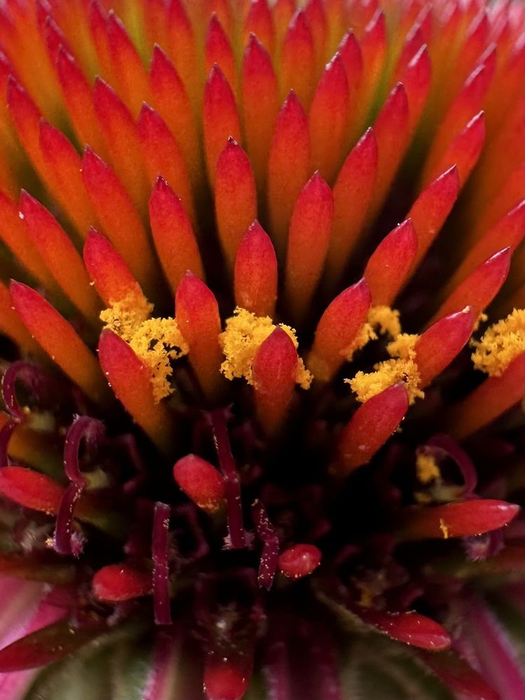 Photograph by Ольга Галкина