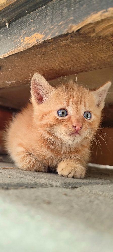 Фотография автора Валерий