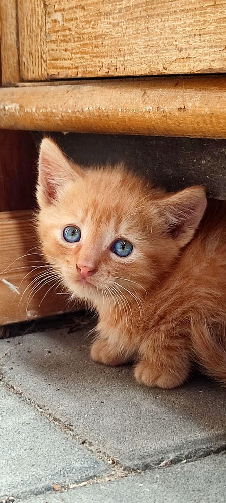 Фотография автора Валерий