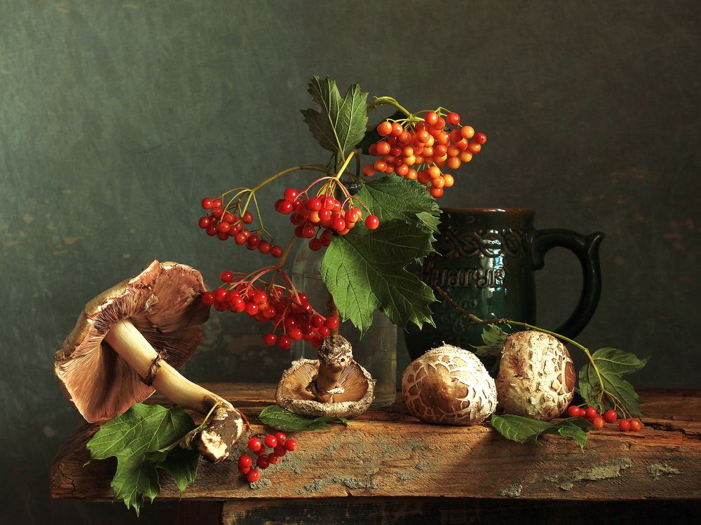 Странная грибная история