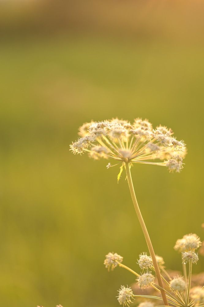 Photograph by Савиных Дарья