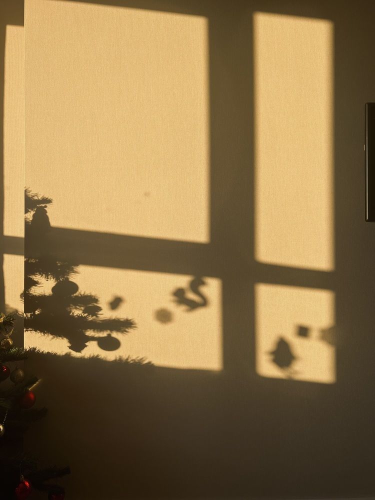 Photograph by Alsu Gimadieva