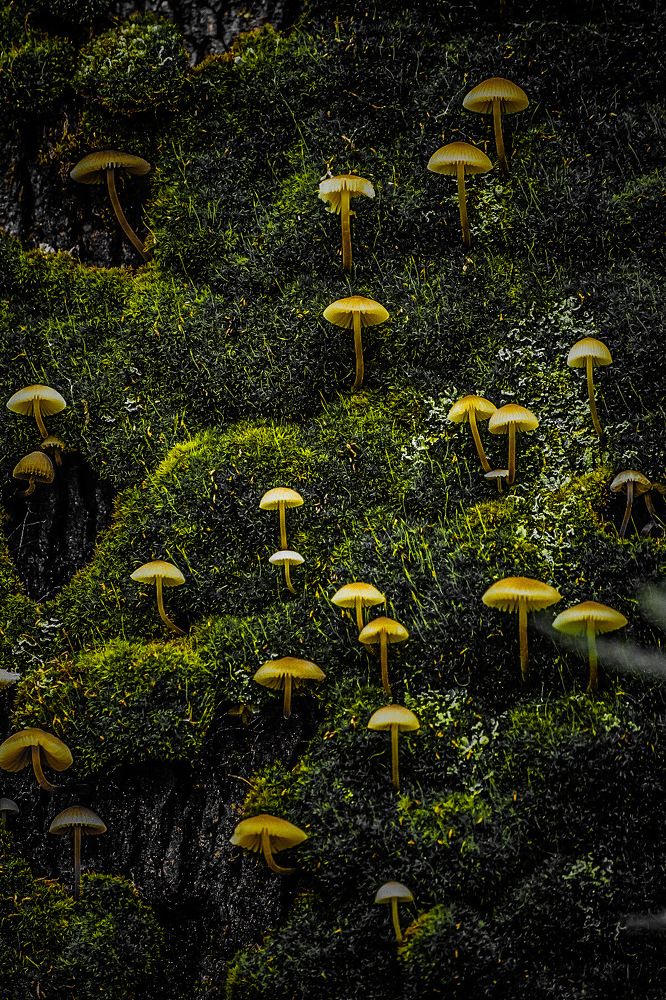 Photograph by Алексей Большаков