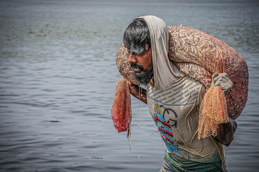 Photograph by Manjula Perera